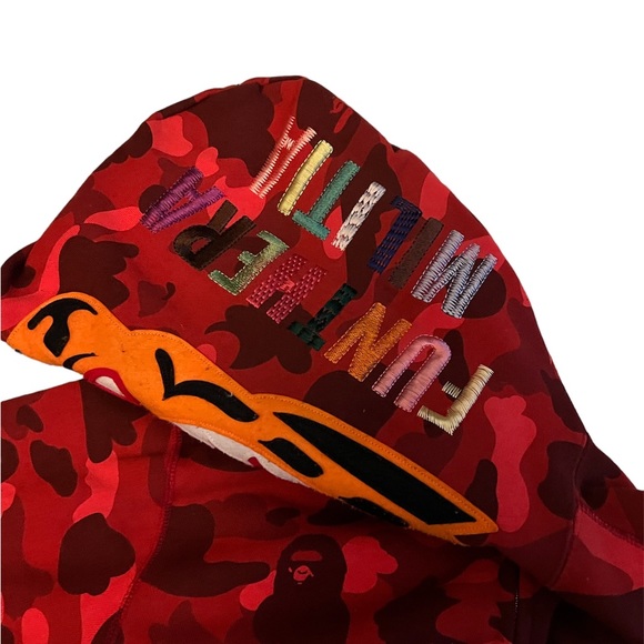 Bape Tiger - Picture 5 of 8